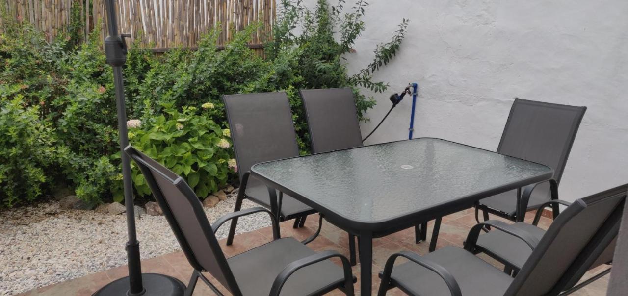 雷根古什-迪蒙萨拉什Pinheiro De Monsaraz- Casa De Santa Maria T3 Com Piscina别墅 外观 照片